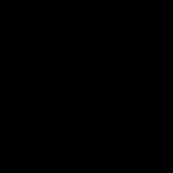 Meet your Posher, Kristian - Picture 1 of 1